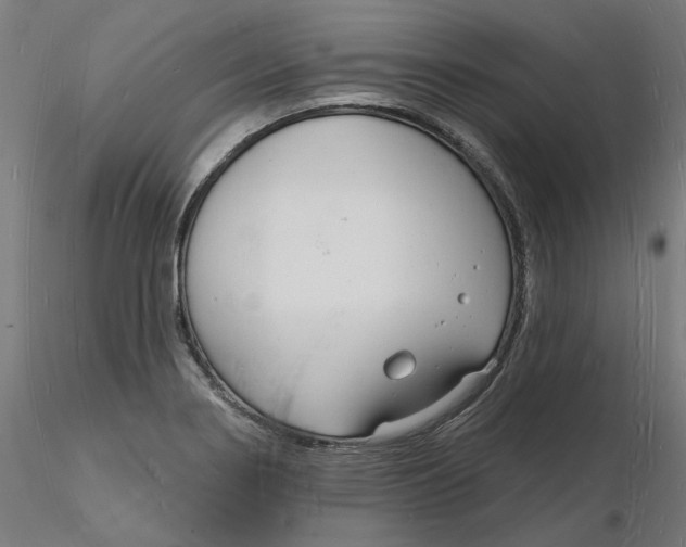 X0000116131274200912211707