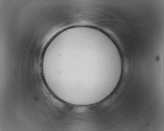 X0000116131278200912211707