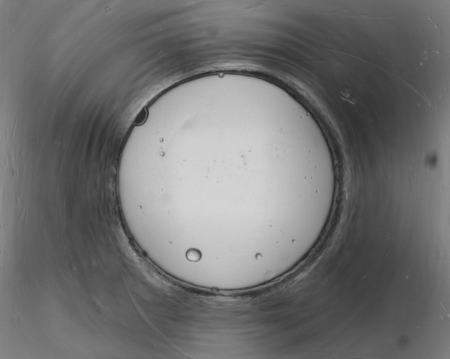 X0000116131281200912211707