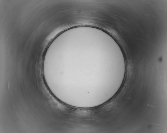 X0000116131286200912211707