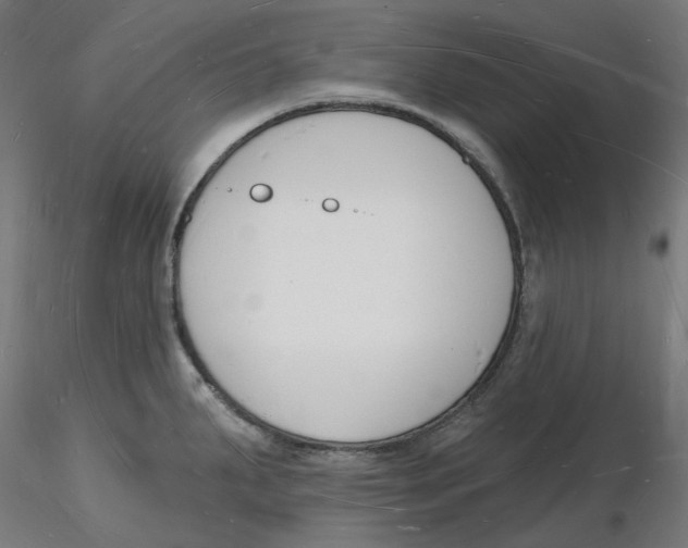 X0000116131287200912211707