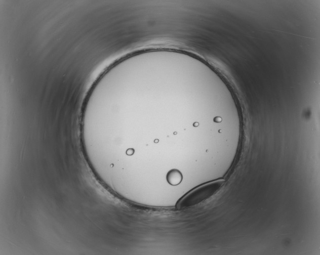 X0000116131288200912211707