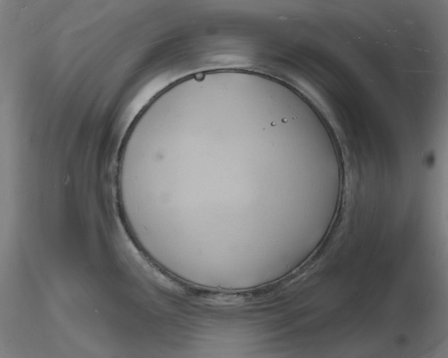 X0000116131291200912211707
