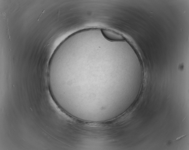 X0000116131295200912211707