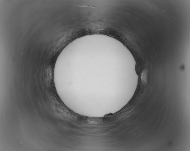 X0000116131299200912211707