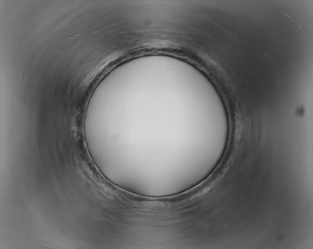 X0000116131305200912211707