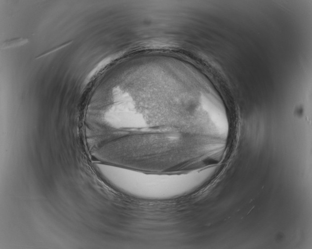 X0000116131306200912211707