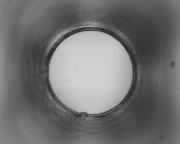 X0000116131318200912211707