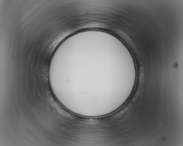 X0000116131321200912211707