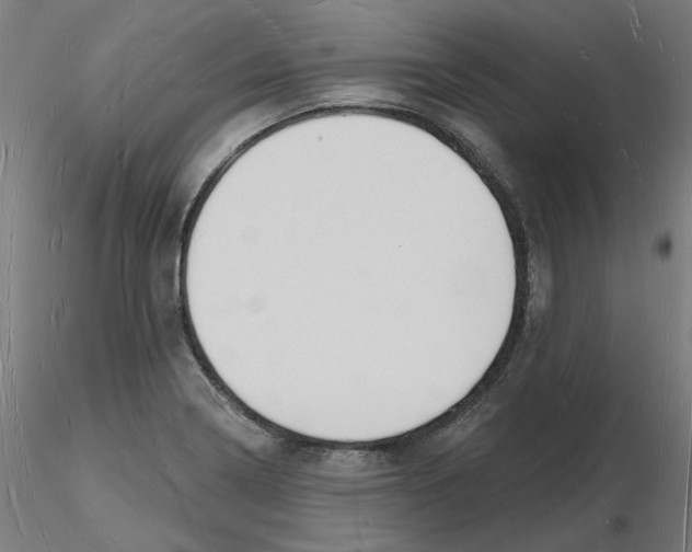 X0000116131322200912211707