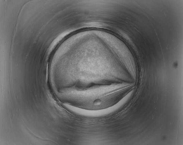 X0000116131323200912211707