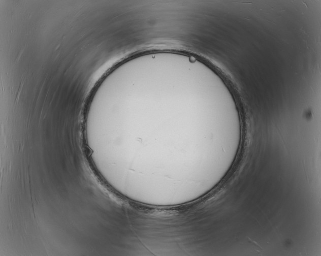 X0000116131325200912211707