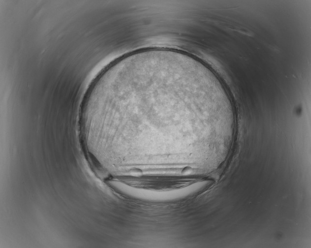 X0000116131331200912211707