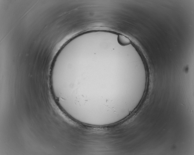 X0000116131333200912211707