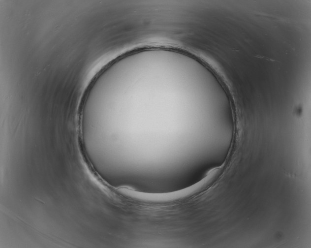 X0000116131335200912211707