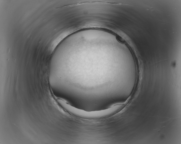X0000116131337200912211707