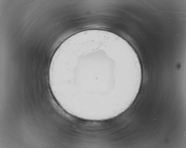 X0000116131338200912211707