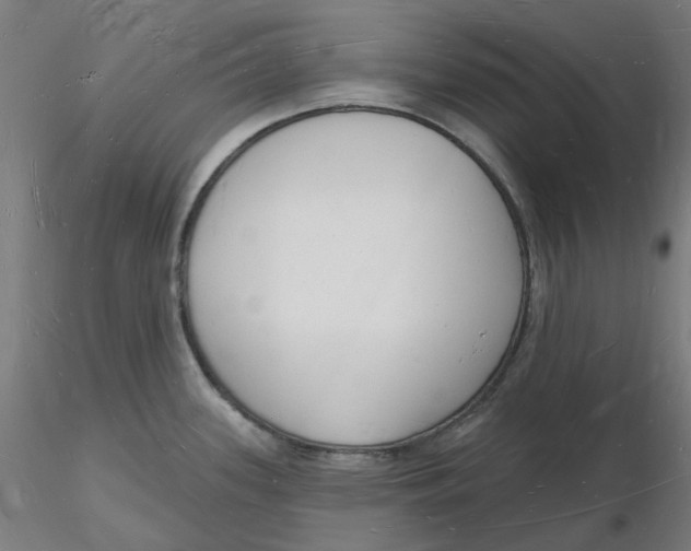 X0000116131339200912211707