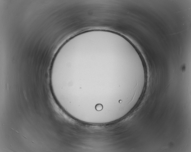 X0000116131341200912211707