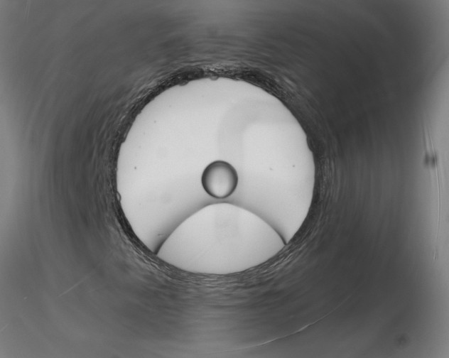 X0000116131345200912211706