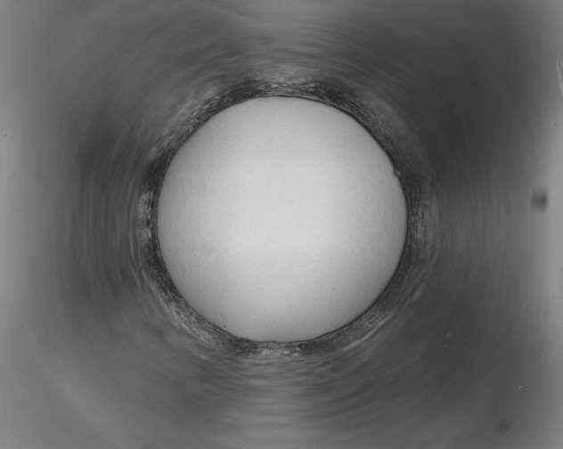 X0000116131346200912211706