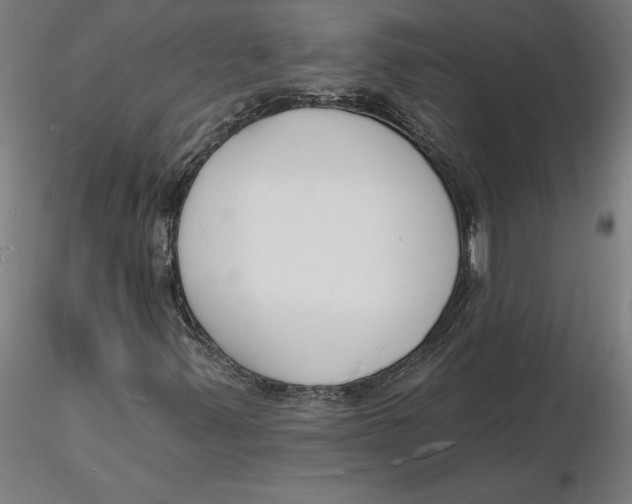 X0000116131347200912211706