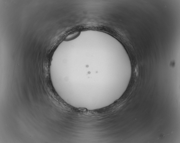 X0000116131348200912211706