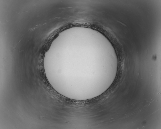 X0000116131350200912211706