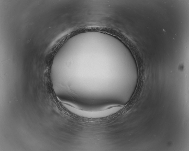 X0000116131351200912211706