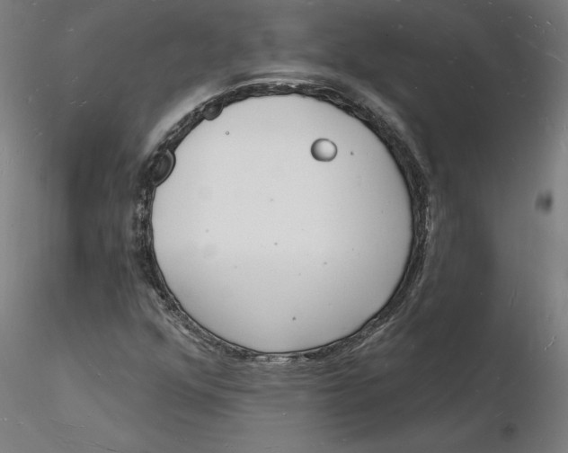 X0000116131352200912211706