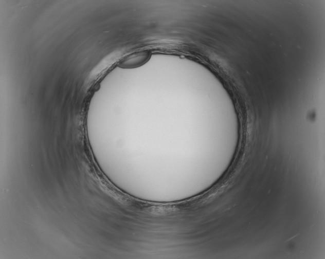 X0000116131354200912211706