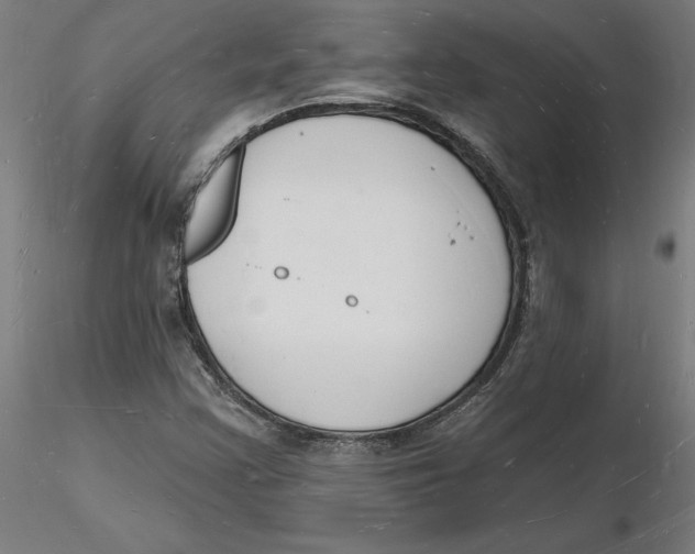 X0000116131355200912211706