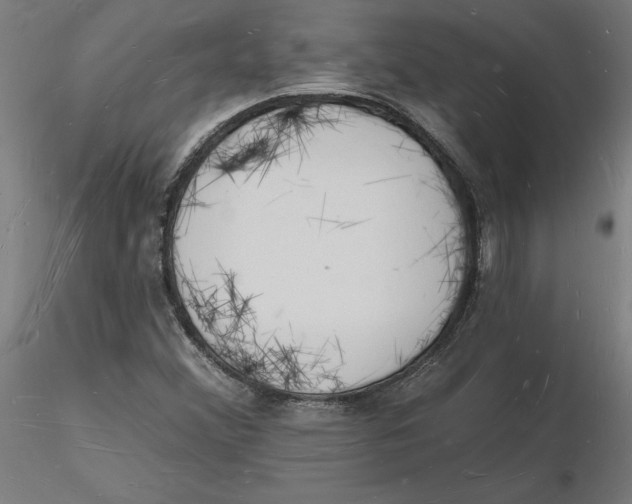 X0000116131356200912211706