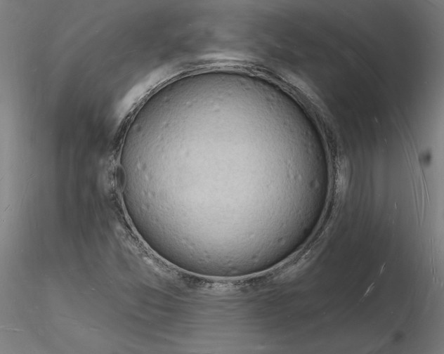X0000116131357200912211706