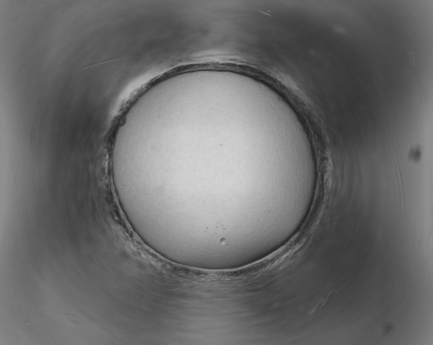 X0000116131358200912211706