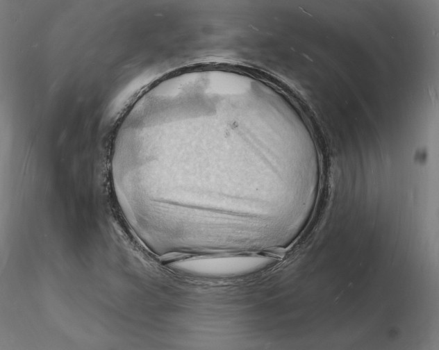 X0000116131359200912211706