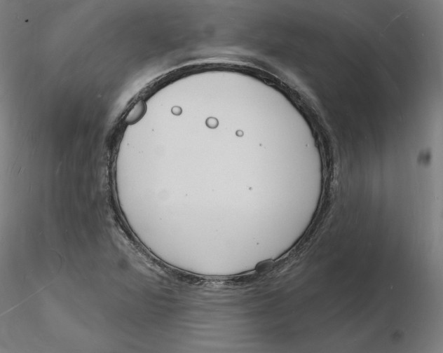 X0000116131360200912211706