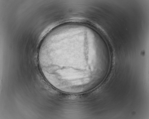 X0000116131362200912211706