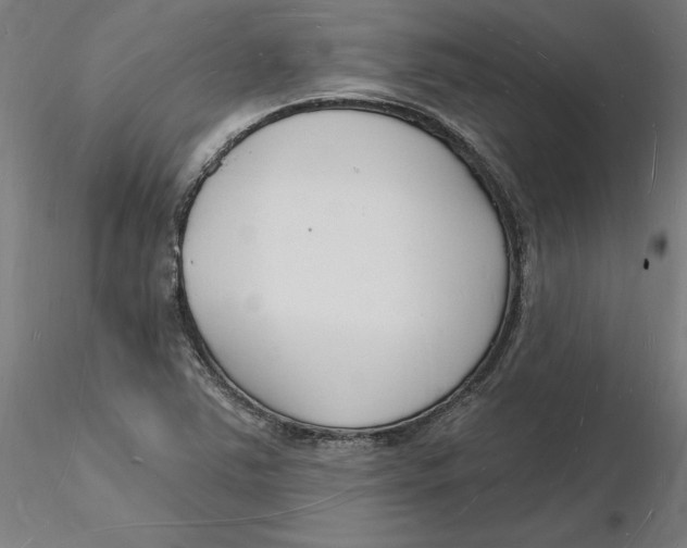 X0000116131363200912211706