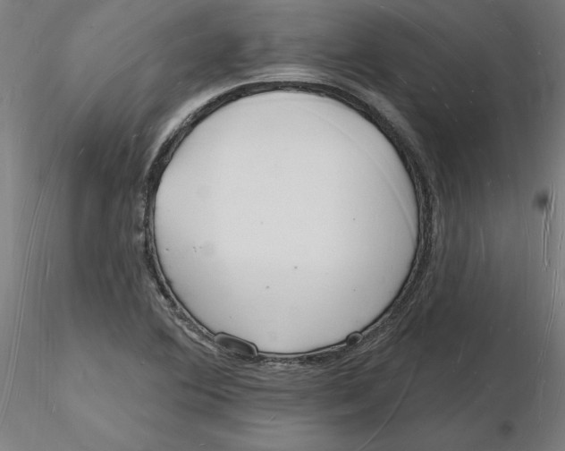 X0000116131364200912211706