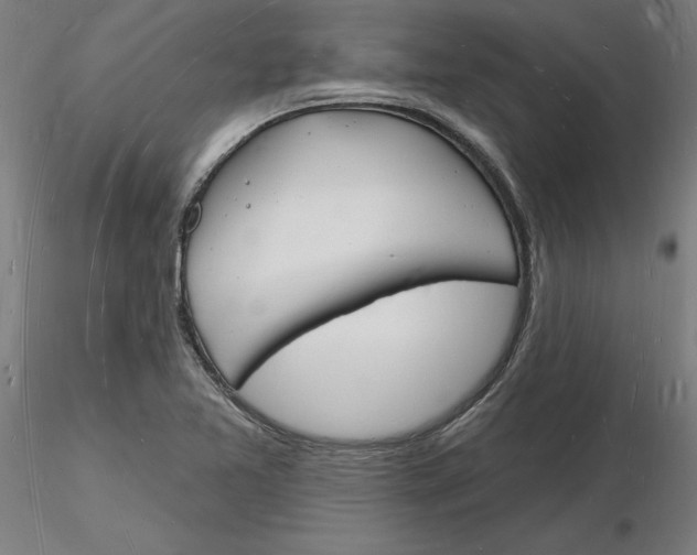 X0000116131365200912211706