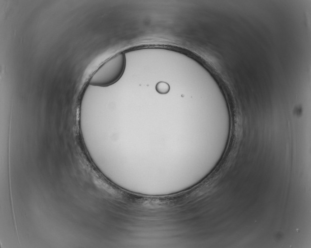 X0000116131366200912211706