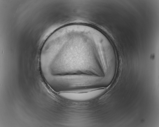 X0000116131367200912211706