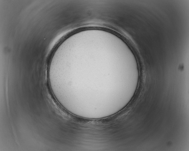 X0000116131368200912211706