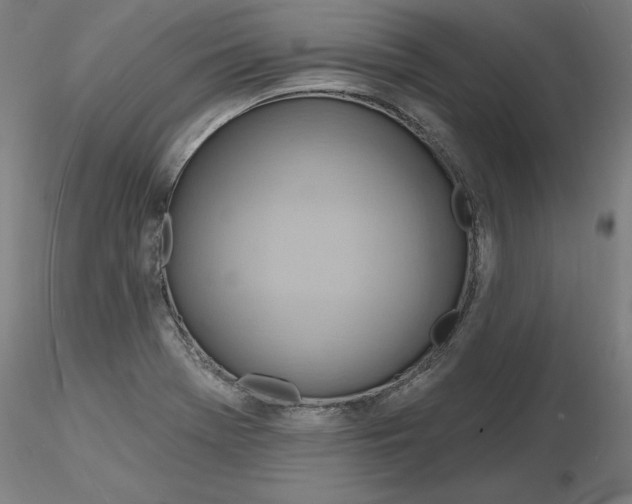 X0000116131369200912211706