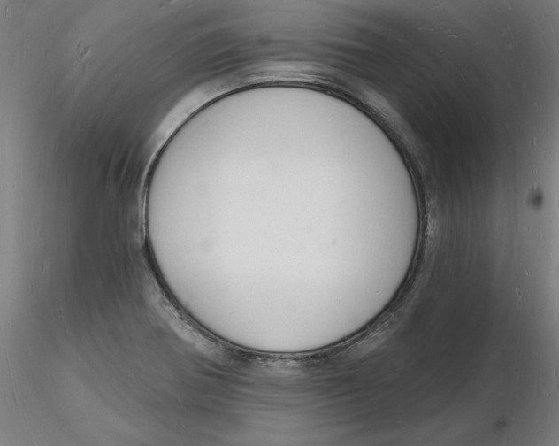 X0000116131370200912211706