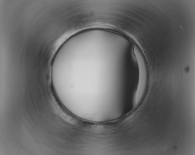 X0000116131371200912211706
