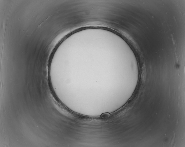 X0000116131372200912211706