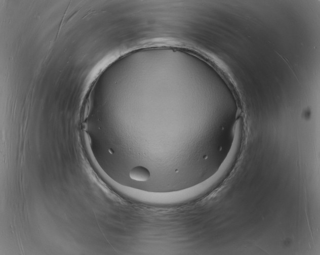X0000116131373200912211706