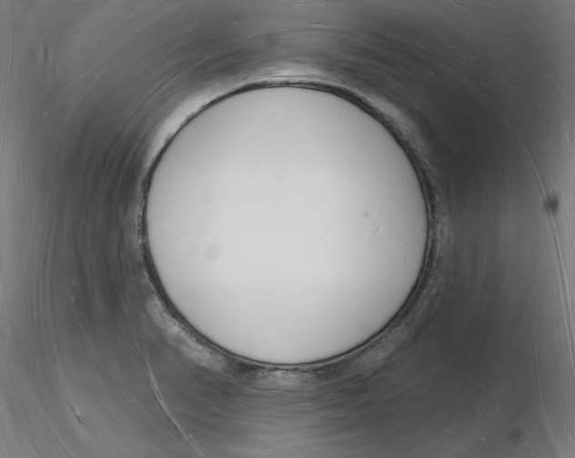 X0000116131374200912211706